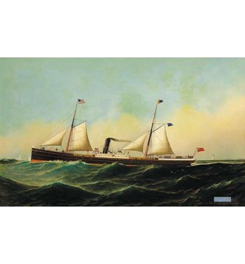 Ship Jona, 1884