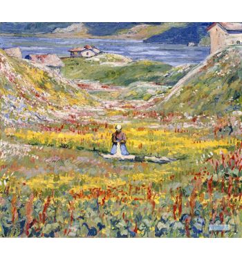 Flowering Meadows In Maloja, c191