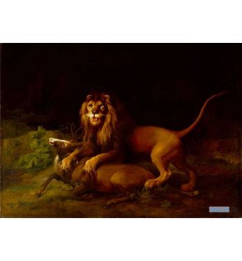 A Lion Attacking A Stag