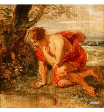 Narcissus Falls In Love With His Own Reflection