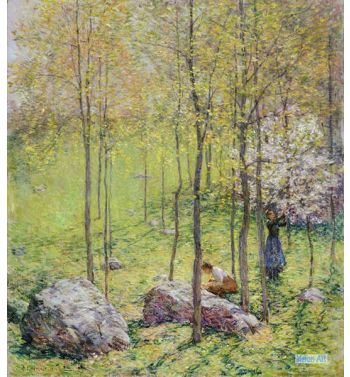 Dogwood Blossoms, 1906