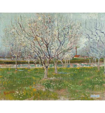 Orchard In Blossom 2