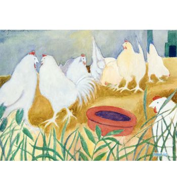 Chicken, Poules