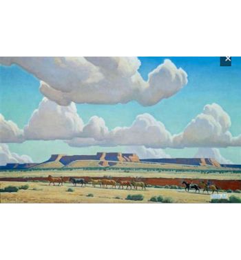 Wide Lands Of The Navajo