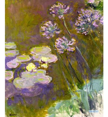 Water Lilies And Agapanthus 1914-17