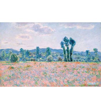 Poppy Field 1886
