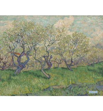 Orchard In Blossom
