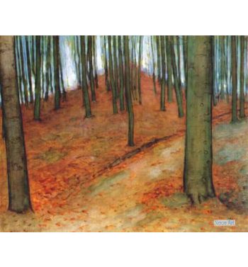Wood With Beech Trees