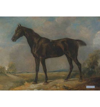 Golding Constable's Black Riding-Horse