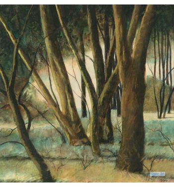 Tree Trunks, 1934