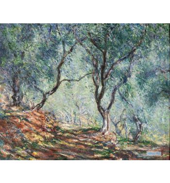 Olive Tree Wood In The Moreno Garden 1884
