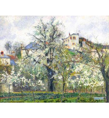 Flowering Trees Spring Pontoise