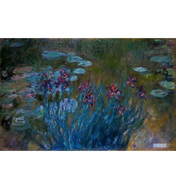 Irises And Water Lilies 1914-1917