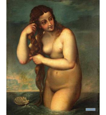 Enus Rising From The Sea Venus Anadyomene 