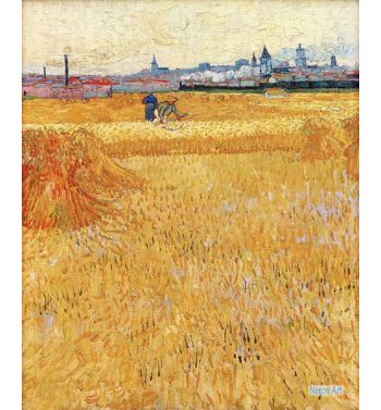 Arles View From The Wheat Fields