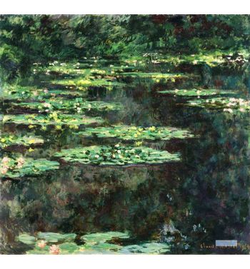 Water Lilies 1904