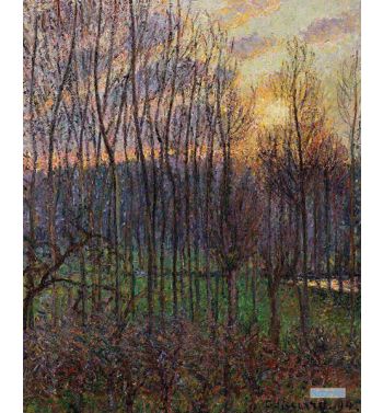 Poplars Sunset At Eragny