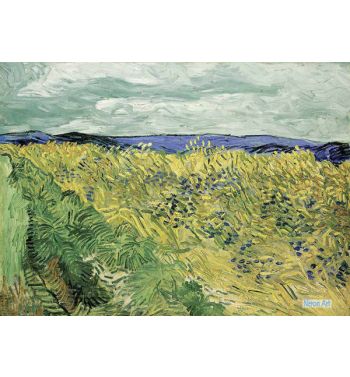 Wheat Field With Cornflowers