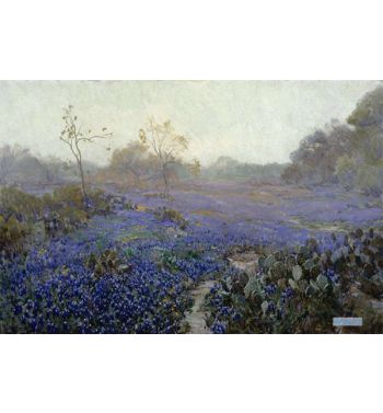 Blue Bonnets And Cactus In The Rain, San Antonio, Texas, 1914