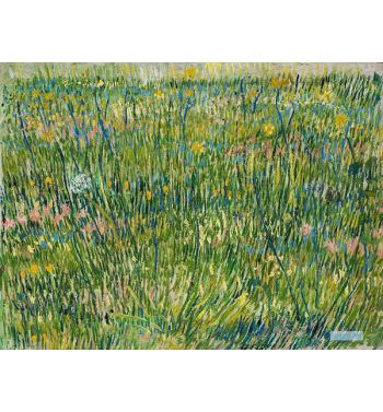 Patch Of Grass Pasture In Bloom 1887