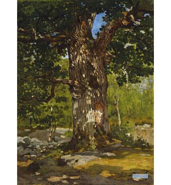 The Bodmer Oak 1865