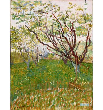 The Flowering Orchard1888