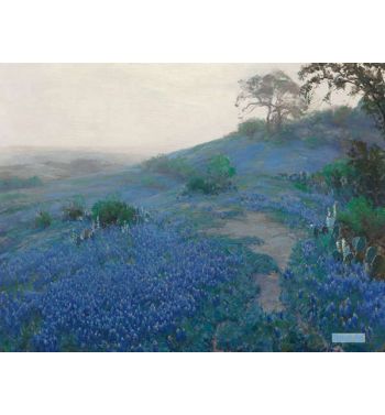 Blue Bonnet Field, Early Morning, San Antonio Texas, 1914