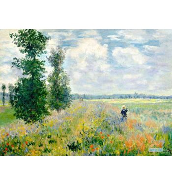 Poppy Field Argenteuil 1875