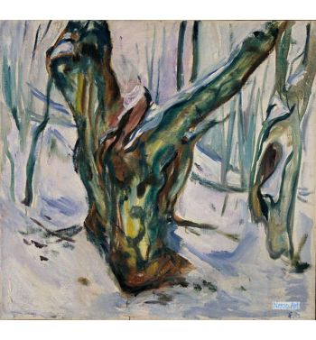 Rugged Trunk In Snow, 1923