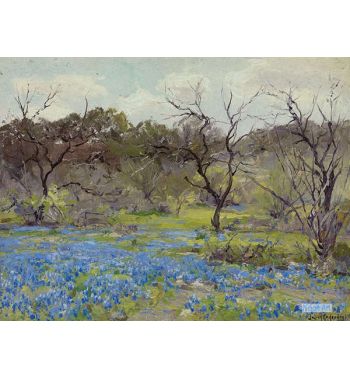 Early Spring, Bluebonnets And Mesquite