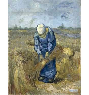 Peasant Woman Binding Sheaves After Millet 1889