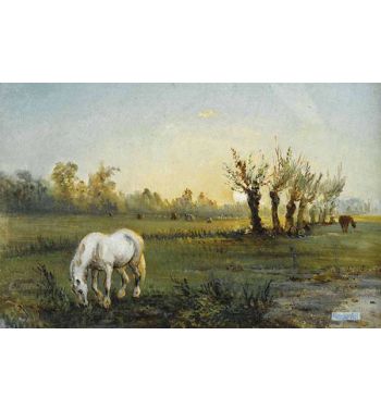 White Horse At The Meadow