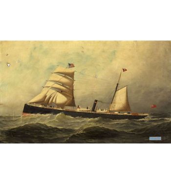 Steamship, Arragon