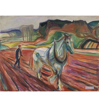Man Ploughing With A White Horse, 1910S