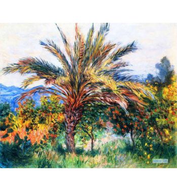 Palm Tree At Bordighera 1884