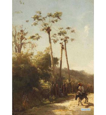 Caribbean Landscape Rider And Donkey On A Path