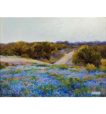 Bluebonnets At Late Afternoon