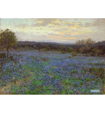 Field Of Bluebonnets At Sunset, 1919 1920