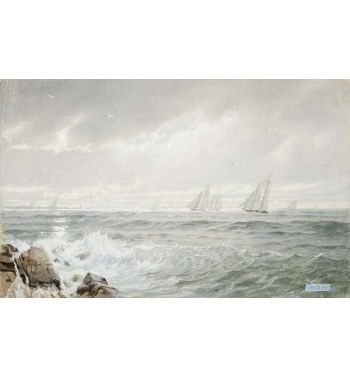 Yachts Off Newport, 1877