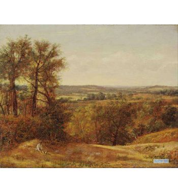 Dedham Vale 1802