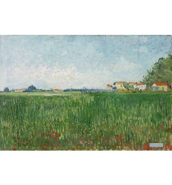 Field With Poppies Near Arles