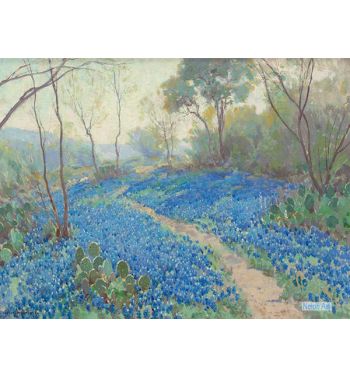 Hillside Of Blue Bonnets Early Morning, Near San Antonio Texas, 1916