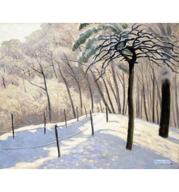 Snowy Landscape In Bois De Boulogne