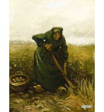 Woman Lifting Potatoes 