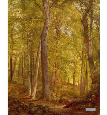 June Woods, Pennsylvania, 1864