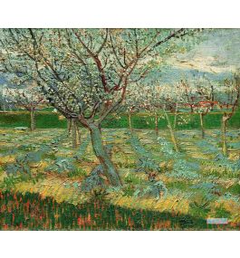 風景 絵画 複製画 ポスター - フィンセント・ヴィレム・ファン・ゴッホ（Vincent Willem van Gogh） - 大型カスタム絵画 -  ブロッサムでアプリコット木