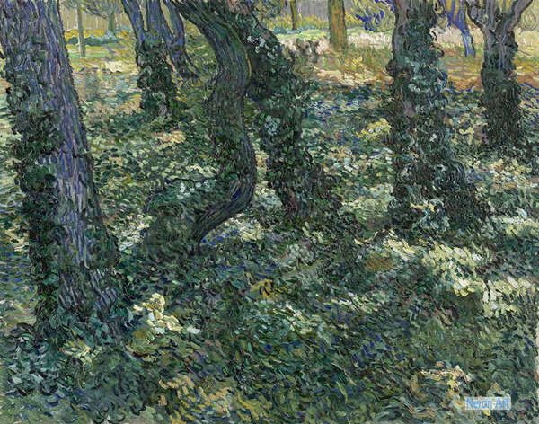 風景 絵画 絵画 油彩画複製油絵複製画 - フィンセント・ヴィレム・ファン・ゴッホ（Vincent Willem van Gogh） - 大型カスタム 絵画 - アイビーと木の幹