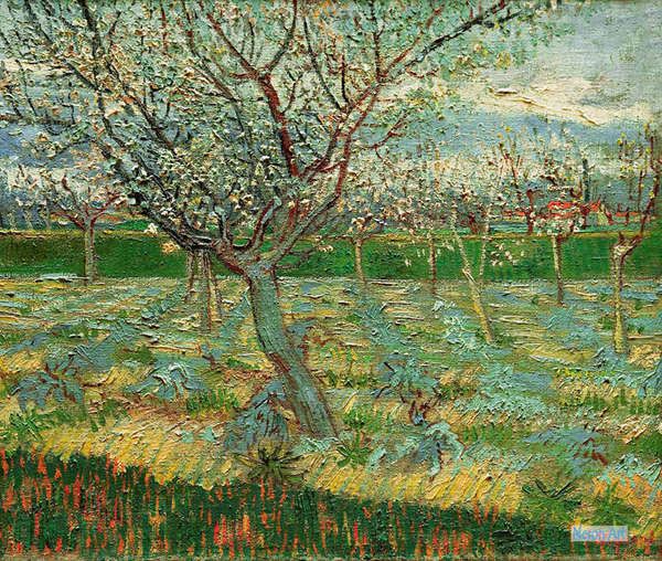 風景 絵画 複製画 ポスター - フィンセント・ヴィレム・ファン・ゴッホ（Vincent Willem van Gogh） - 大型カスタム絵画 -  ブロッサムでアプリコット木