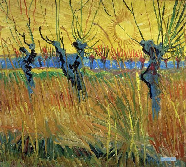 Dipinti Paesaggio Riproduzioni di Quadri Dipinte a Mano ad Olio su Misura - Van  Gogh - Dipinti Personalizzati di grandi dimensioni - Salici Con Sole