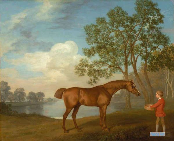 動物 絵画 世界の有名画家 ジョージ スタッブス George Stubbs 大型カスタム絵画 安定 ラッドカボチャ